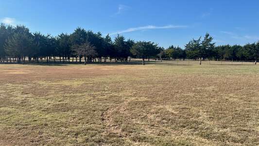 Thomas Tolbert Elementary School Field - Practice 2 (Grass) in Dallas