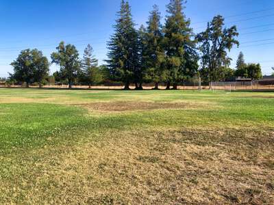 Noddin Elementary School Field - Medium in San Jose