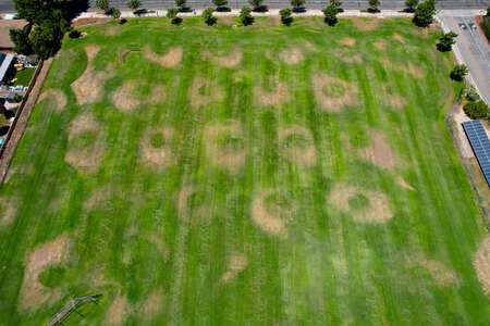 Santa Susana High School Field - Practice 1 in Simi Valley