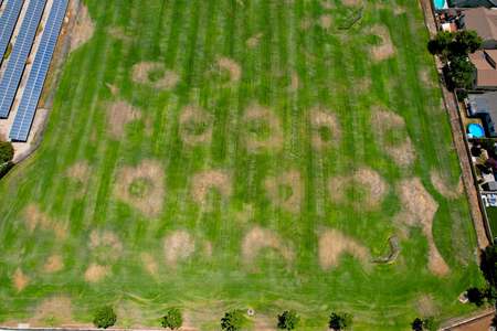Santa Susana High School Field - Practice 1 in Simi Valley
