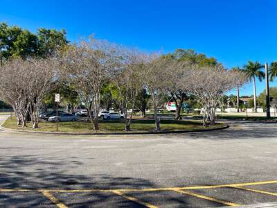 Parking Lot - Main