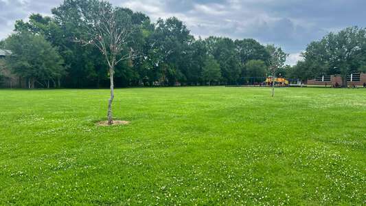 Capitol Elementary School Field - Practice 1 in Baton Rouge 2