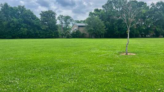 Capitol Elementary School Field - Practice 1 in Baton Rouge 4