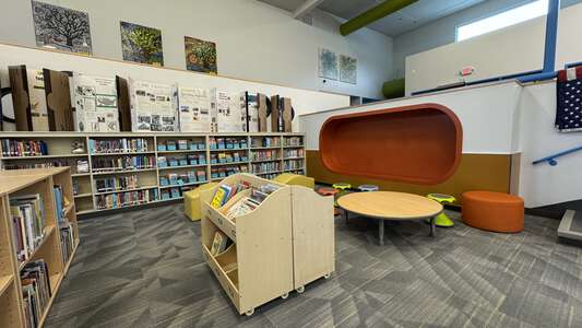 Hallinan Elementary School Library in Lake Oswego