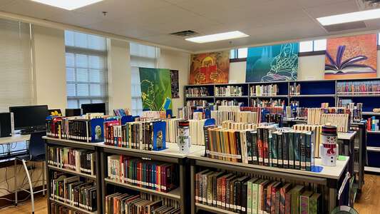 IM Terrell Academy Library in Fort Worth