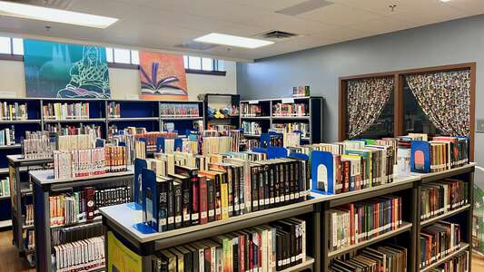 IM Terrell Academy Library in Fort Worth