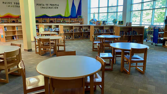 Dogan Elementary Library in Houston