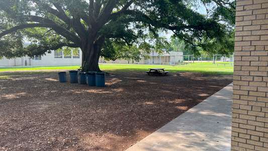 Istrouma Magnet High School in Baton Rouge Louisiana Slideshow Image 2