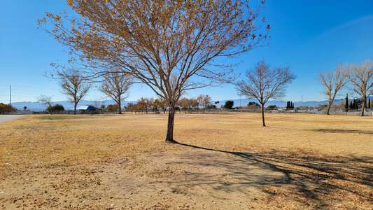 Field - Softball
