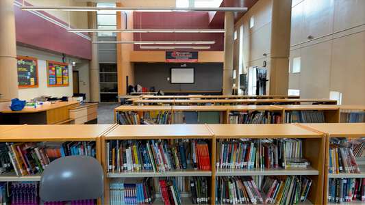 Ellington - Edward K Ellington Elementary School Library in Chicago 2