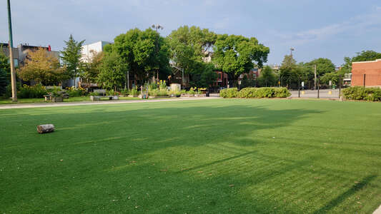 Mitchell  - Ellen Mitchell Elementary School Field - Practice in Chicago