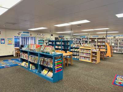 Dublin Elementary School Library in Dublin