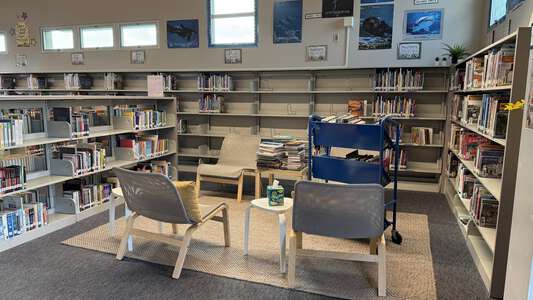 Audubon K -8 School Library in San Diego