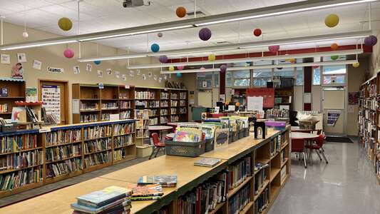 Rosedale Elementary School Library in Chico