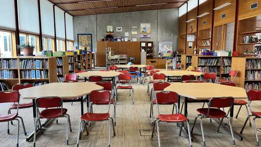 Thurston Elementary School Library in Springfield
