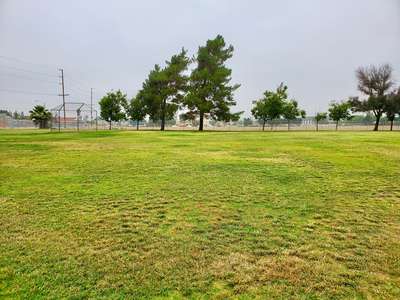 Field - Practice 1