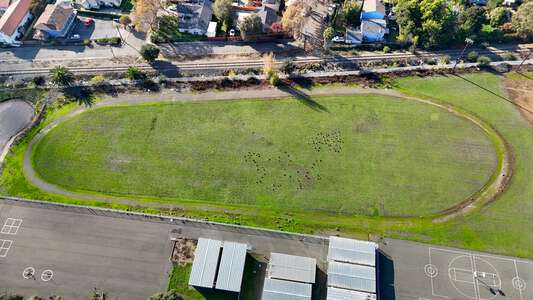 John Finney Education Complex Field - Practice in Vallejo