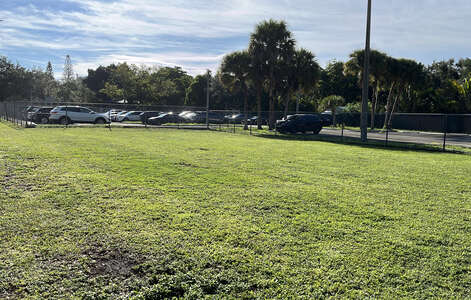 Kenwood K-8 Center Field - Grass in Miami