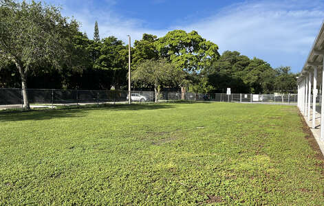 Kenwood K-8 Center Field - Grass in Miami