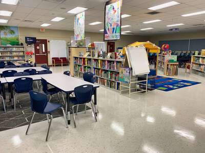 Witter Elementary School (4921) Library in Tampa