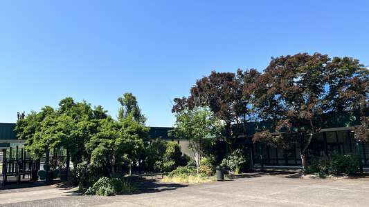 Sheldon High School Courtyard in Eugene 2