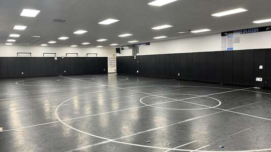 Wrestling