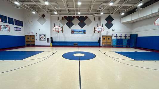 Linne - Carl von Linne Elementary School Gym in Chicago 3