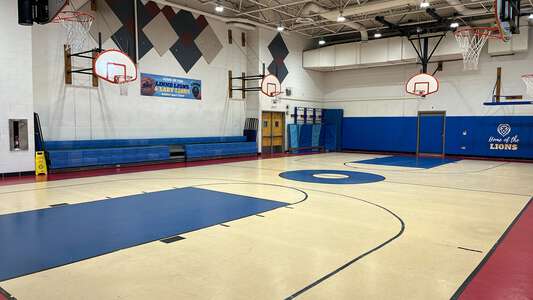 Linne - Carl von Linne Elementary School Gym in Chicago 4