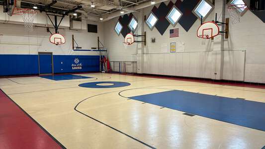 Linne - Carl von Linne Elementary School Gym in Chicago 5