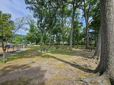 DB Picnic Area 100-149 Guests (1-5 hrs use)