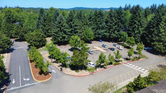 Parking Lot - Front