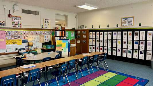 Christene C Moss Elementary School Classroom Standard in Fort Worth