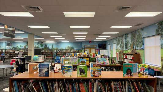 Corley Elementary School Room 3.130 - Media Center in Lawrenceville 4