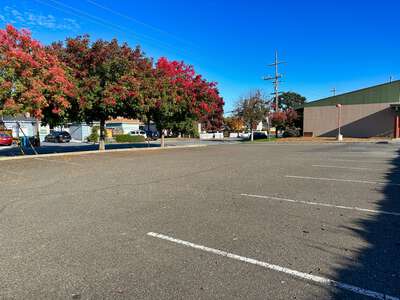 Mckinley Elementary School Parking Lot - Staff in Petaluma