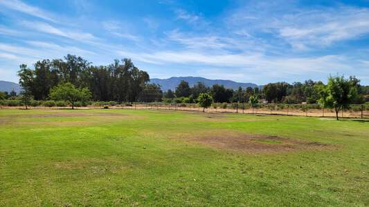 Field - Baseball South