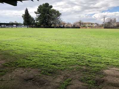 Pomeroy Elementary School Field - Practice in Milpitas