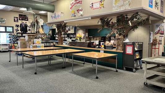 Bautista Creek Elementary School Library in Hemet
