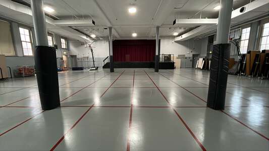 Armour - Phillip D Armour Elementary School Assembly Hall in Chicago 2