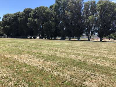 Donaldson Way Elementary School Field - 2 in American Canyon