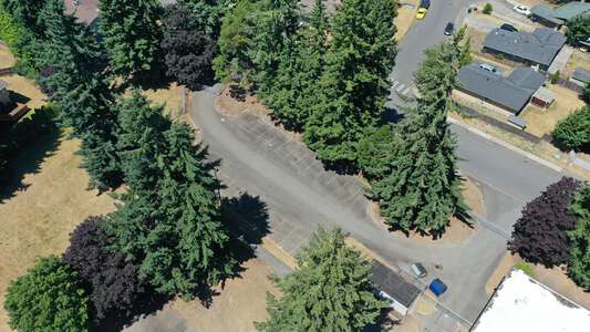 Brigadoon Elementary School Parking Lot - Staff in Federal Way 2