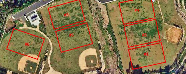 San Dieguito Sports Complex Non-Regulation Field #4 in Carlsbad