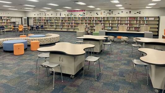 Oak Grove Elementary School (3161) Library in Tampa