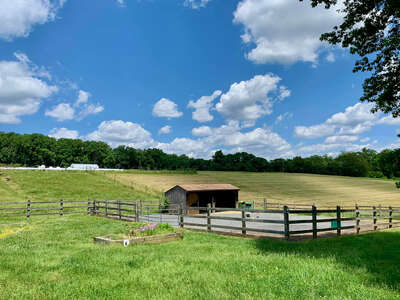 Fox Chase Farm Hay Pasture - Hayride Area in Rockledge