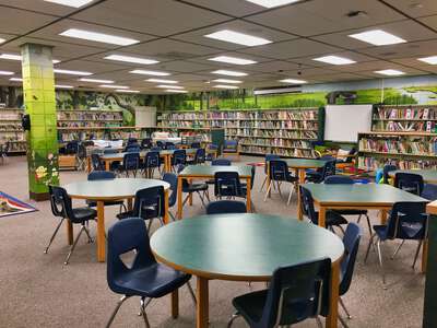 Essrig Elementary School (1431) Library in Tampa