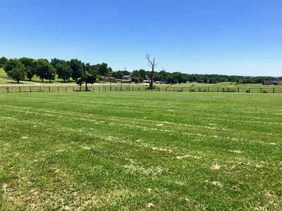 Tyson Elementary School Field - Practice in Springdale