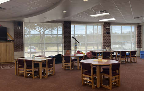 Achziger Elementary School Library in Mesquite