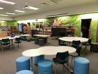 Teravista Elementary School Library in Round Rock