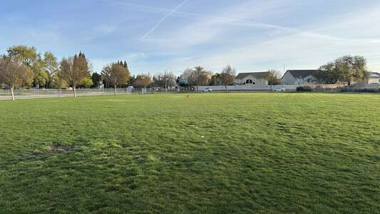Field - Practice