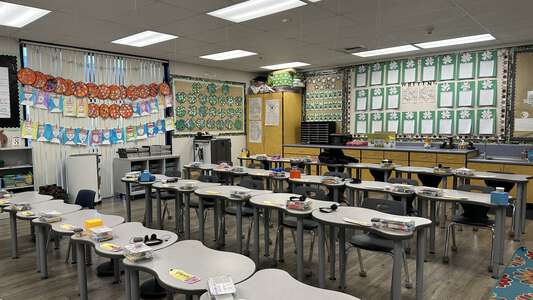 Ellerth E. Larson Elementary School Classroom Standard in Lodi