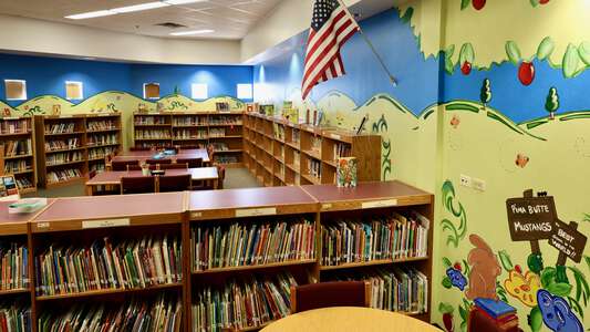 Pima Butte Elementary School Library in Maricopa